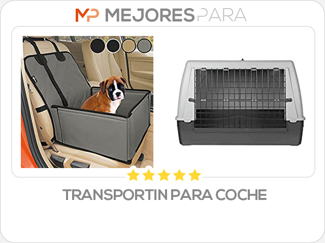 transportin para coche