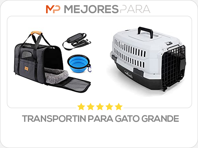 transportin para gato grande