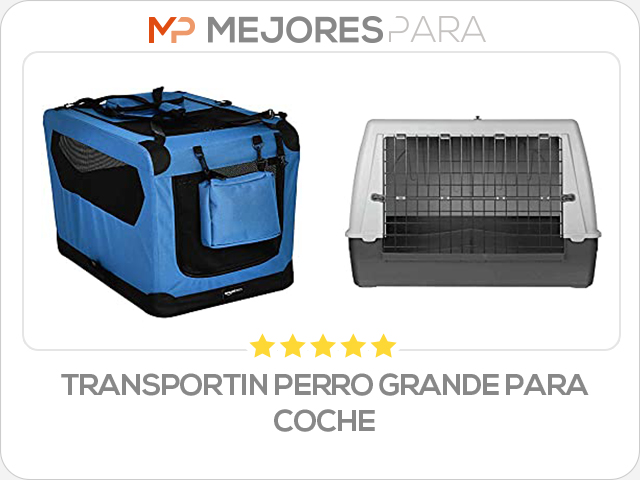 transportin perro grande para coche