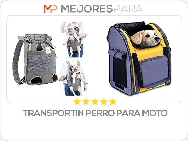 transportin perro para moto