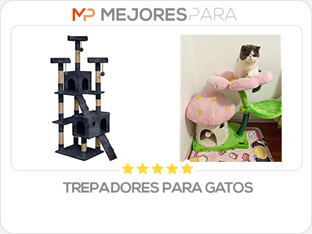 trepadores para gatos