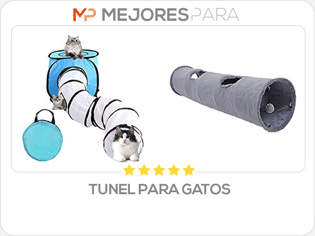 tunel para gatos