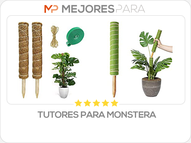 tutores para monstera