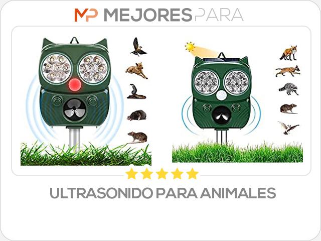 ultrasonido para animales