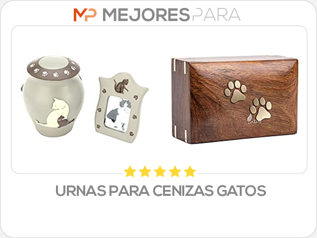 urnas para cenizas gatos