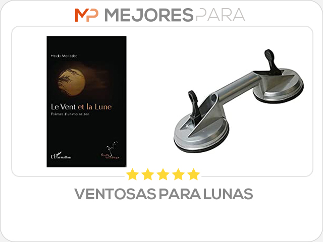 ventosas para lunas