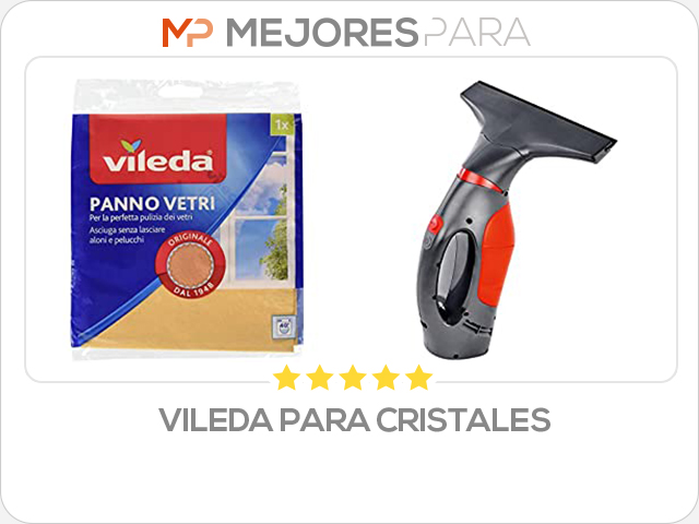 vileda para cristales