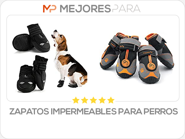 zapatos impermeables para perros