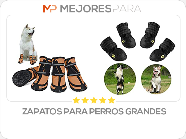 zapatos para perros grandes