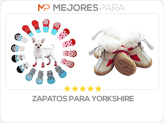 zapatos para yorkshire